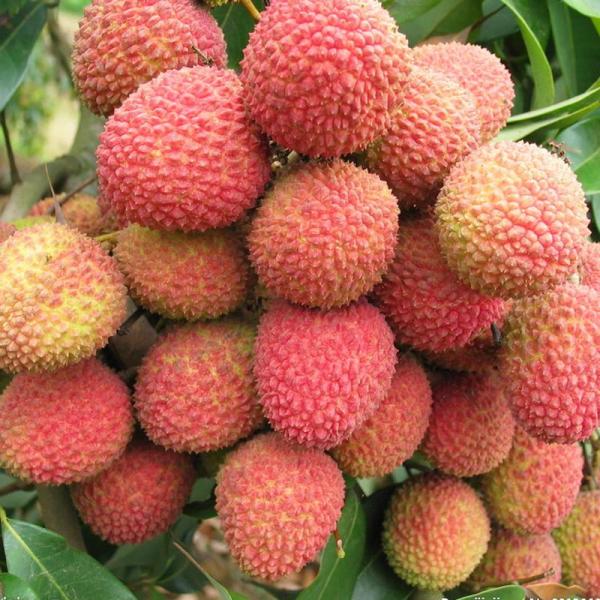 000000000128842968_1